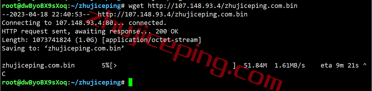 rakclajp10 raksmart vps怎么样？简单测评“洛杉矶精品网”线路的VPS