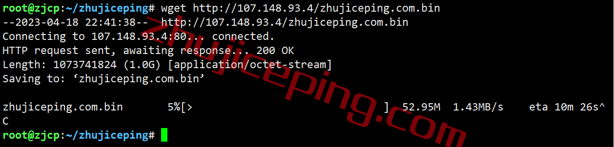 rakclajp11 raksmart vps怎么样？简单测评“洛杉矶精品网”线路的VPS