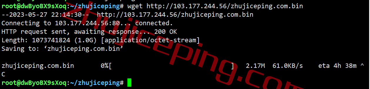 tmhjpsb10 tmhhost日本vps怎么样？日本软银线路的VPS测评，可解锁Netflix、spotify、chatgpt等