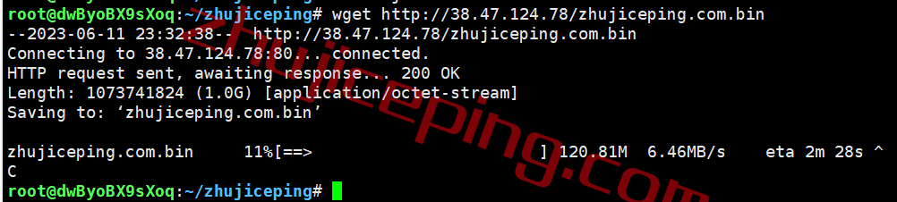 vsiij10 vmiss怎么样？日本东京bgp线路的VPS测评