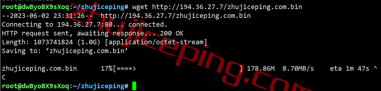 zgod12 zgovps怎么样？德国高性能优化线路VPS测评，CN2 GIA+CU2，解锁tiktok/chatgpt