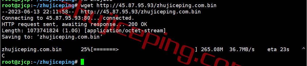zjpe10 zgovps日本Osaka EPYC Performance VPS系列测评