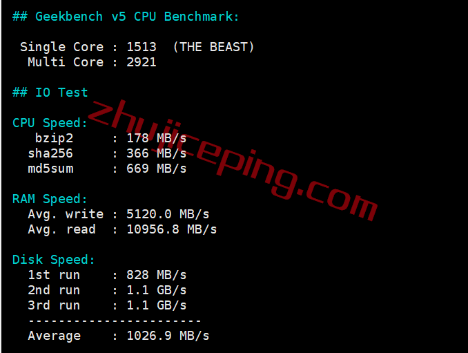 zjpe28 zgovps日本Osaka EPYC Performance VPS系列测评