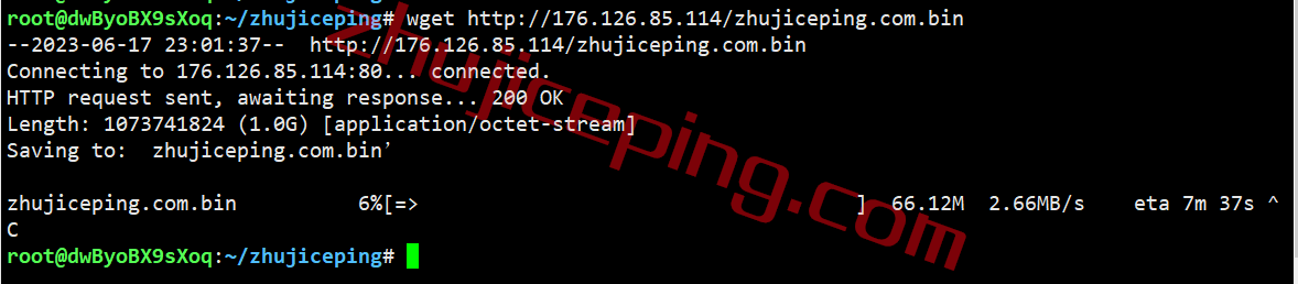 hhnl10 hosthatch荷兰VPS怎么样？详细实测数据分享