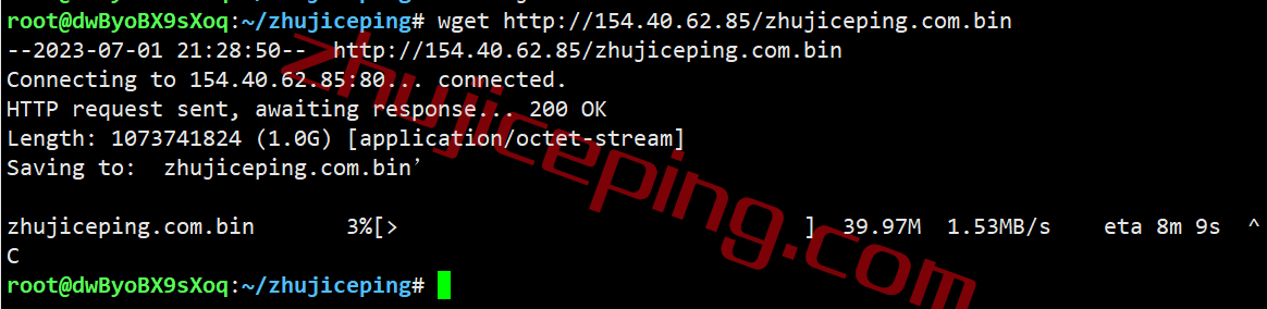 hyjp10 简单测评下18元/月的hostyun的10Gbps大带宽日本VPS