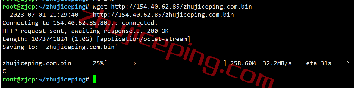 hyjp11 简单测评下18元/月的hostyun的10Gbps大带宽日本VPS
