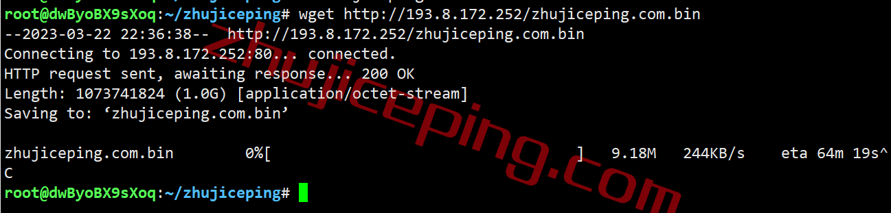 smco12 smarthost丹佛VPS怎么样？简单测评下“Colorado - USA”数据中心的VPS，解锁netflix\chatgpt\spotify\tiktok