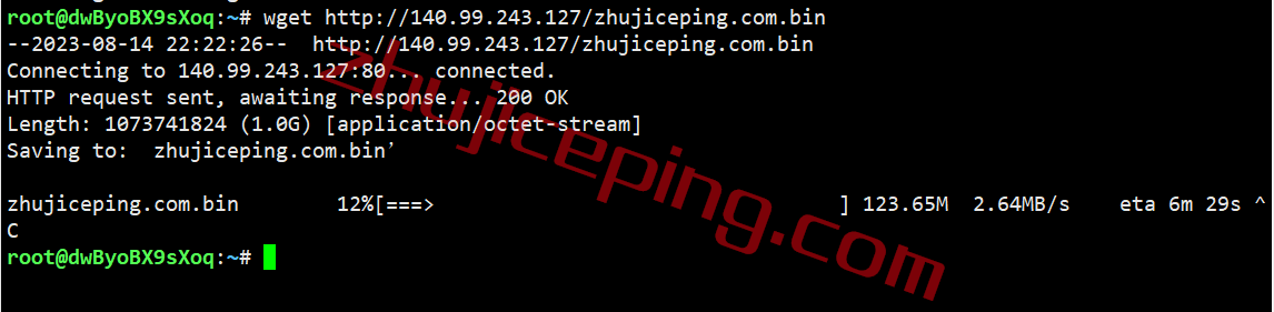 hhjp10 hosthatch日本vps测评，联通和移动用户可以上！