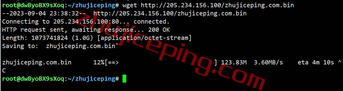 honla10 hosteons怎么样？测评下洛杉矶机房AMD平台的VPS：10G带宽，解锁迪士尼\netflix\chatgpt等一堆