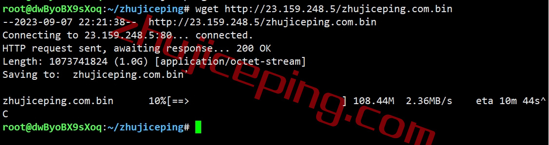 zgonl11 zgovps怎么样？荷兰vps详细测试数据分享！解锁netflix\spotify\steam\chatgpt等