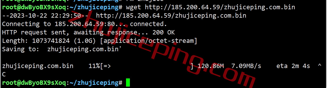 vjpp12 简单测评下V.PS的日本东京Performance KVM VPS (高速/高性能/带备份/流量用完不停机)