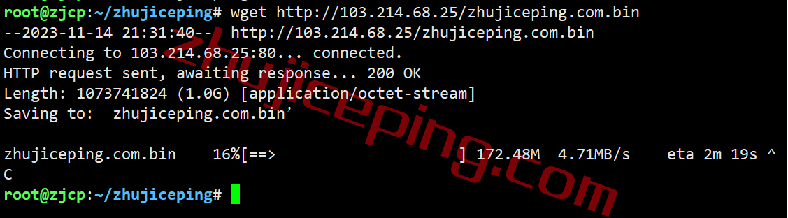 exvm10 extravm荷兰VPS怎么样？详细实测数据分享仅供参考