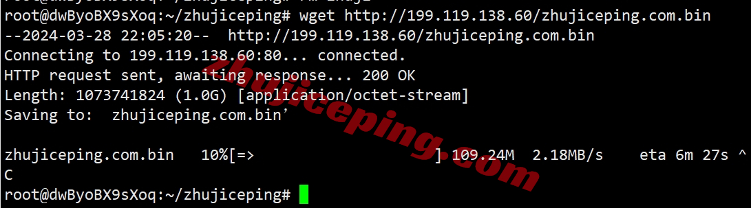 lyus11 layer.ae怎么样？美国机房高性能AMD Ryzen系列VPS测评