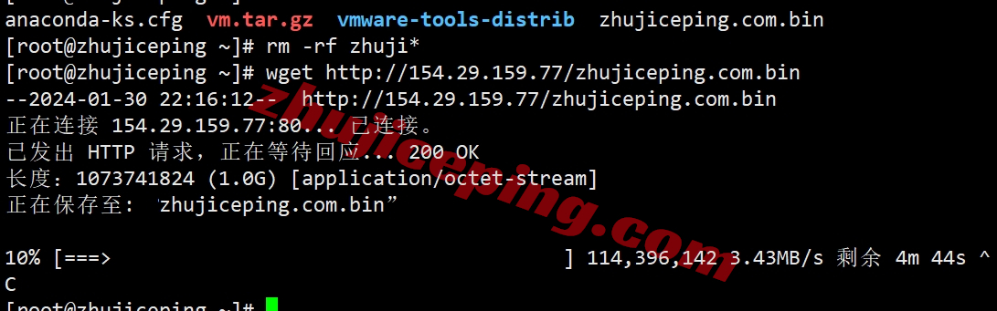 tmhisp10 tmhhost怎么样？美国AS9929+双ISP住宅IP系列VPS测评
