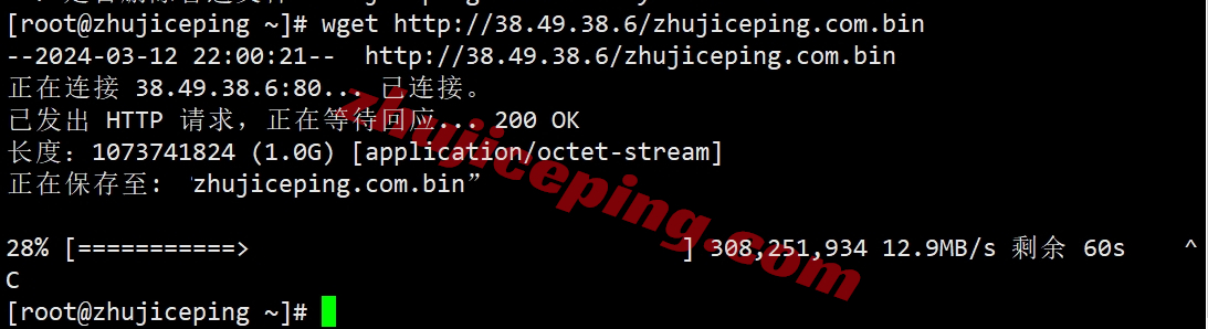 zgog11 zgovps怎么样？Los Angeles Global VPS系列VPS实测数据分享！