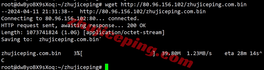 gwpjp12 greenwebpage怎么样？简单测评下东京数据中心的日本VPS业务