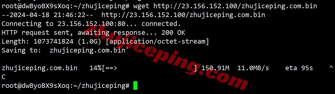 wapus10 wap.ac美国VPS怎么样？简单测评下US VPS Pro Netflix系列VPS(回程三网纯高端/IP解锁效果不错)
