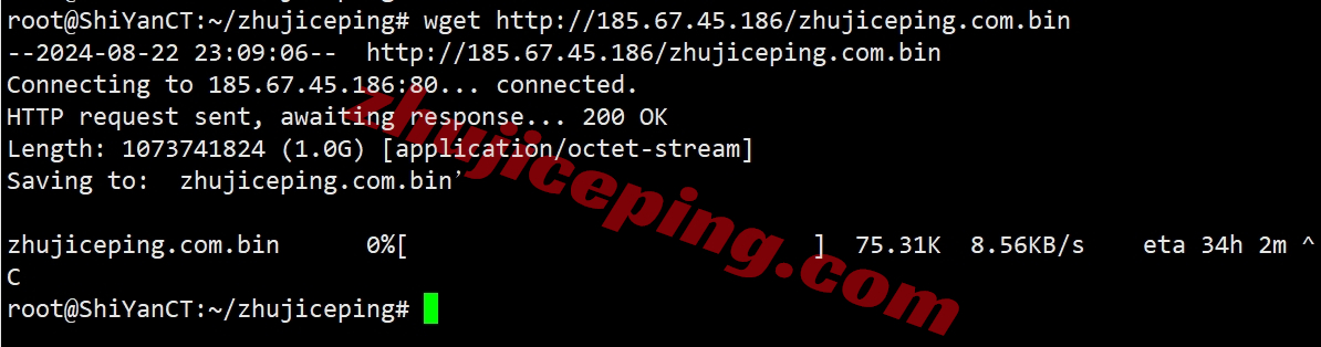 lwnl8 liquidweb怎么样？荷兰VPS详细测评