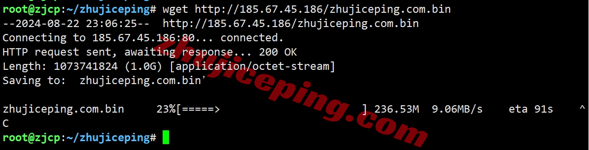 lwnl9 liquidweb怎么样？荷兰VPS详细测评