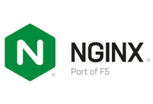 nginx: [warn] the 