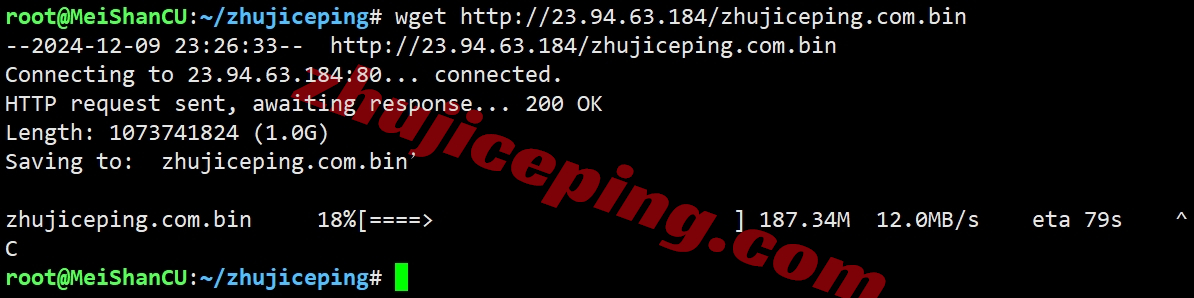 ccdal10 colocrossing怎么样？详细测评下达拉斯数据中心的VPS