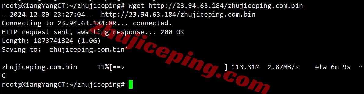ccdal11 colocrossing怎么样？详细测评下达拉斯数据中心的VPS