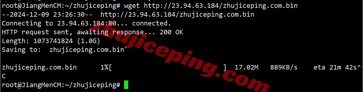 ccdal12 colocrossing怎么样？详细测评下达拉斯数据中心的VPS
