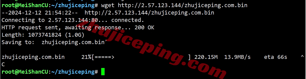 rarede26 rarecloud怎么样？测评下德国dusseldorf数据中心的VPS