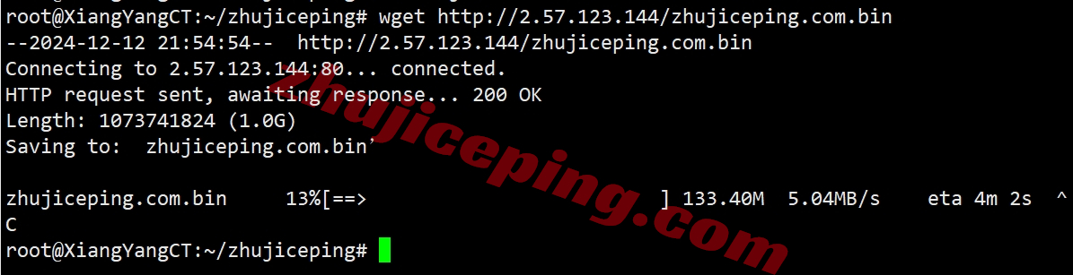 rarede27 rarecloud怎么样？测评下德国dusseldorf数据中心的VPS