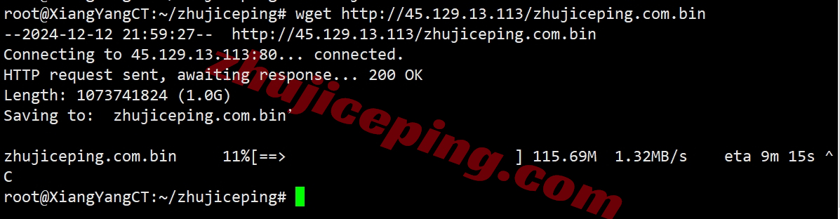 rarenl11 rarecloud怎么样？详细测评荷兰阿姆斯特丹数据中心的VPS