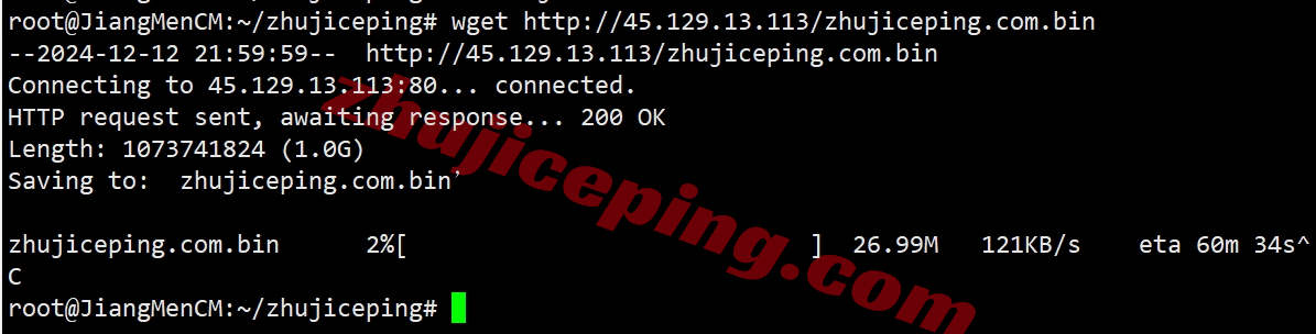 rarenl13 rarecloud怎么样？详细测评荷兰阿姆斯特丹数据中心的VPS