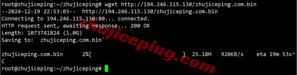 pqit8 the.hosting怎么样？意大利VPS详细测评