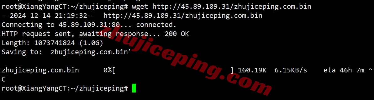 pqjp10 the.hosting怎么样？日本VPS详细测评