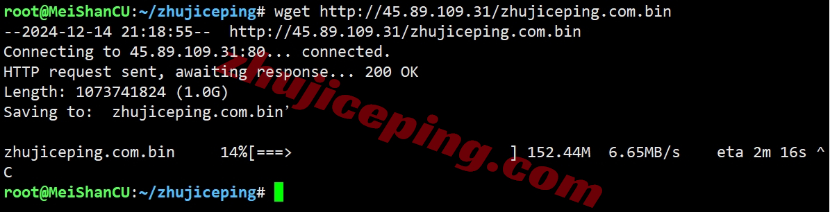 pqjp9 the.hosting怎么样？日本VPS详细测评