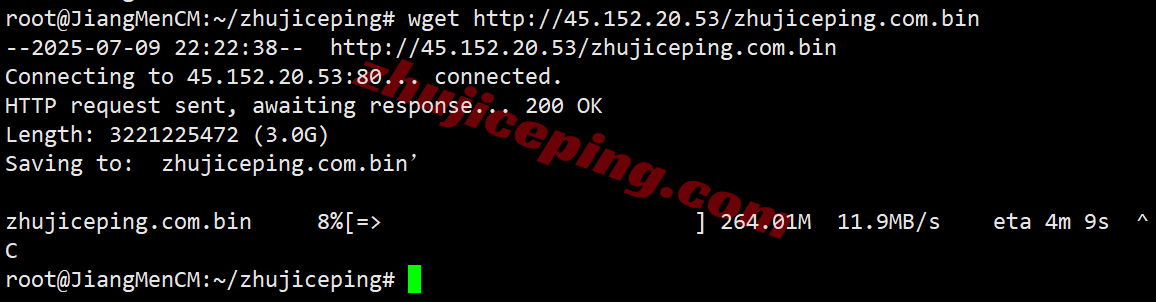 lisadeisp7-1 lisahost德国双ISP住宅VPS/VDS详细测评，解锁流媒体效果很好