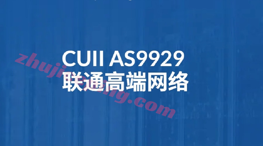 CUII AS9929网络
