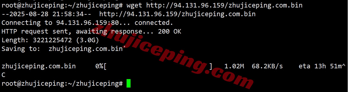 Thiplx7 详细测评the.hosting的10Gbps带宽的波兰不限流量VPS