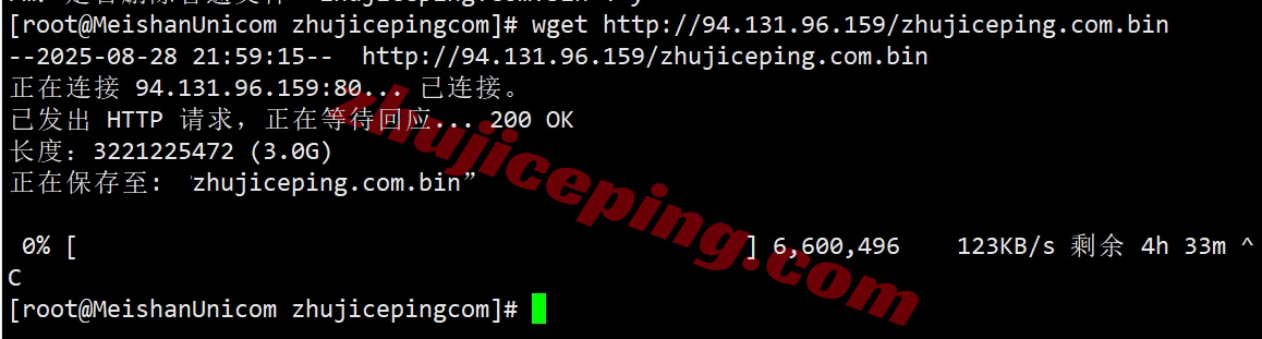 Thiplx8 详细测评the.hosting的10Gbps带宽的波兰不限流量VPS