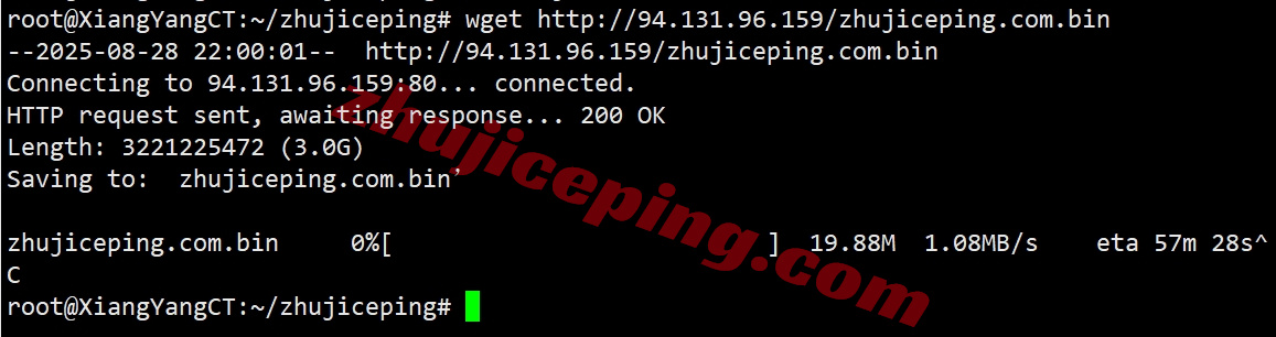 Thiplx9 详细测评the.hosting的10Gbps带宽的波兰不限流量VPS