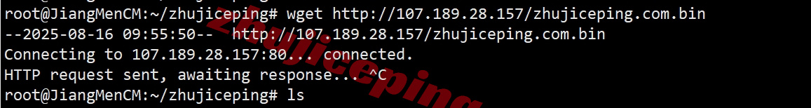 buyvmch9 buyvm瑞士VPS详细测评，性能小钢炮/不限制流量