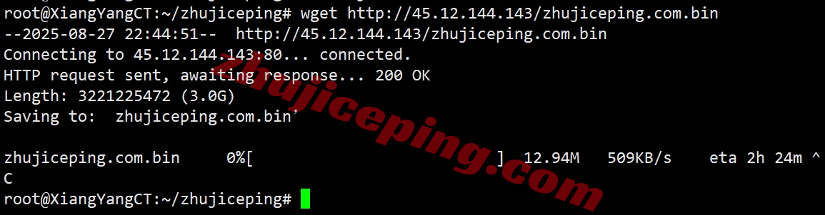 thilu9 详细测评the.hosting的卢森堡数据中心的VPS
