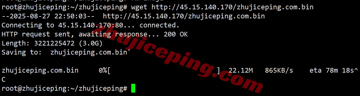 thinz7 详细测评the.hosting新西兰奥克兰数据中心的VPS