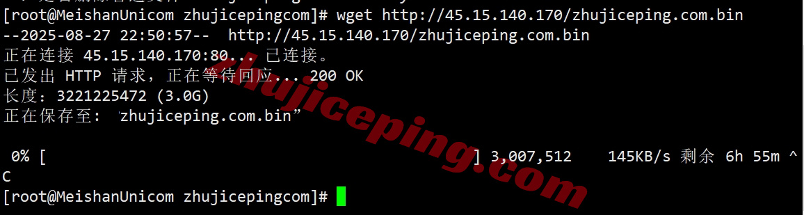thinz8 详细测评the.hosting新西兰奥克兰数据中心的VPS