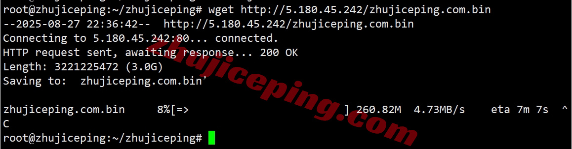 thitr7 详细测评the.hosting土耳其10Gbps带宽不限流量VPS