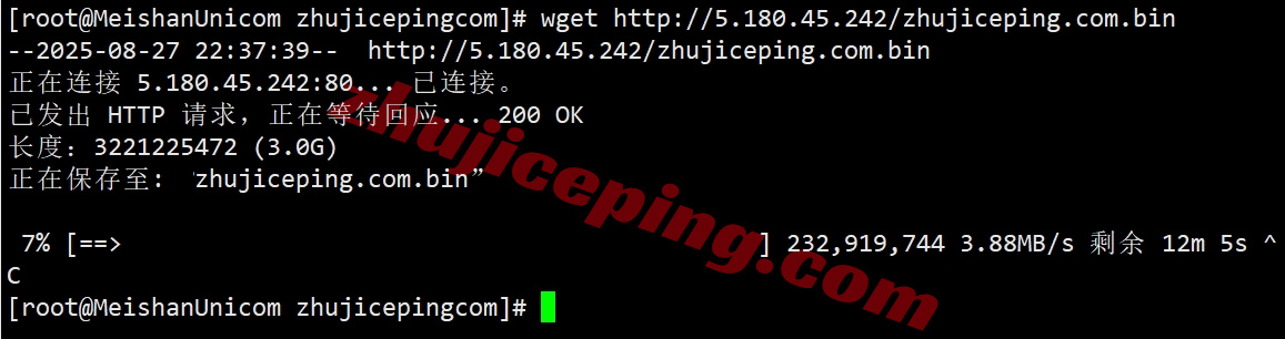thitr8 详细测评the.hosting土耳其10Gbps带宽不限流量VPS
