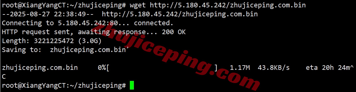 thitr9 详细测评the.hosting土耳其10Gbps带宽不限流量VPS