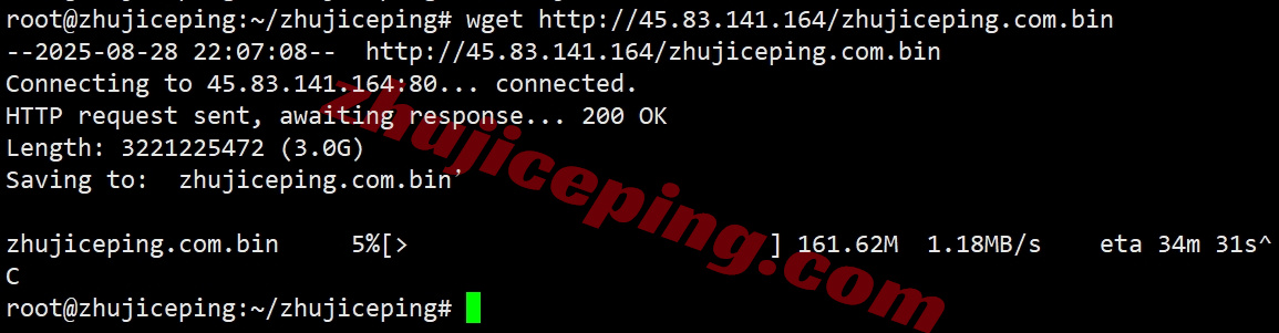 thmqd7 详细测评the.hosting北马其顿10Gbps带宽不限流量的VPS