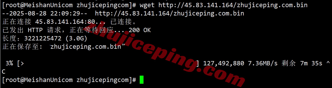 thmqd8 详细测评the.hosting北马其顿10Gbps带宽不限流量的VPS