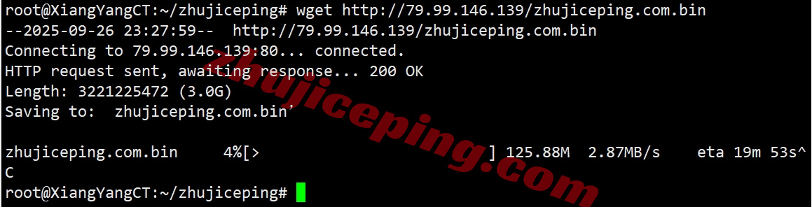 bitslon7 详细测评bitsflow.cloud的英国伦敦数据中心的VPS