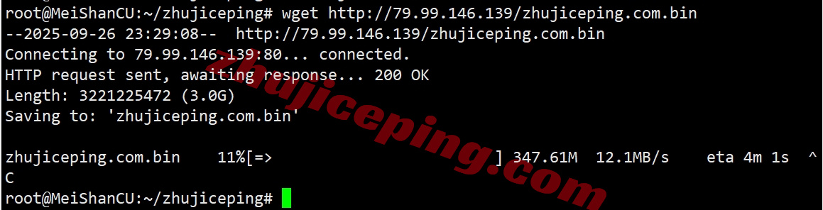 bitslon8 详细测评bitsflow.cloud的英国伦敦数据中心的VPS